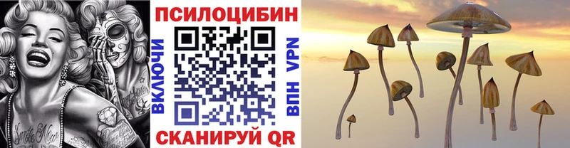 даркнет сайт  Моздок  Псилоцибиновые грибы мухоморы 